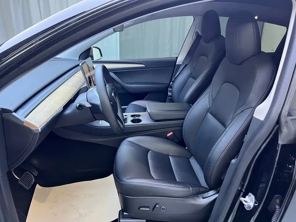 Tesla Model Y — миниатюра 10
