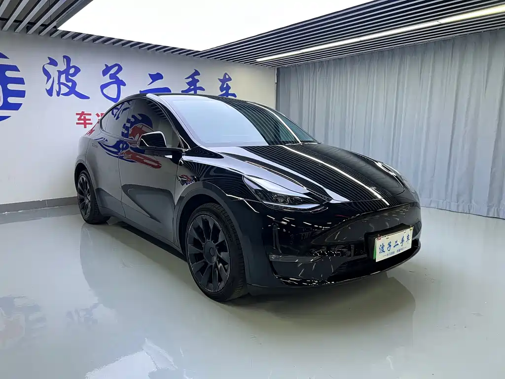 Tesla Model Y — миниатюра 3