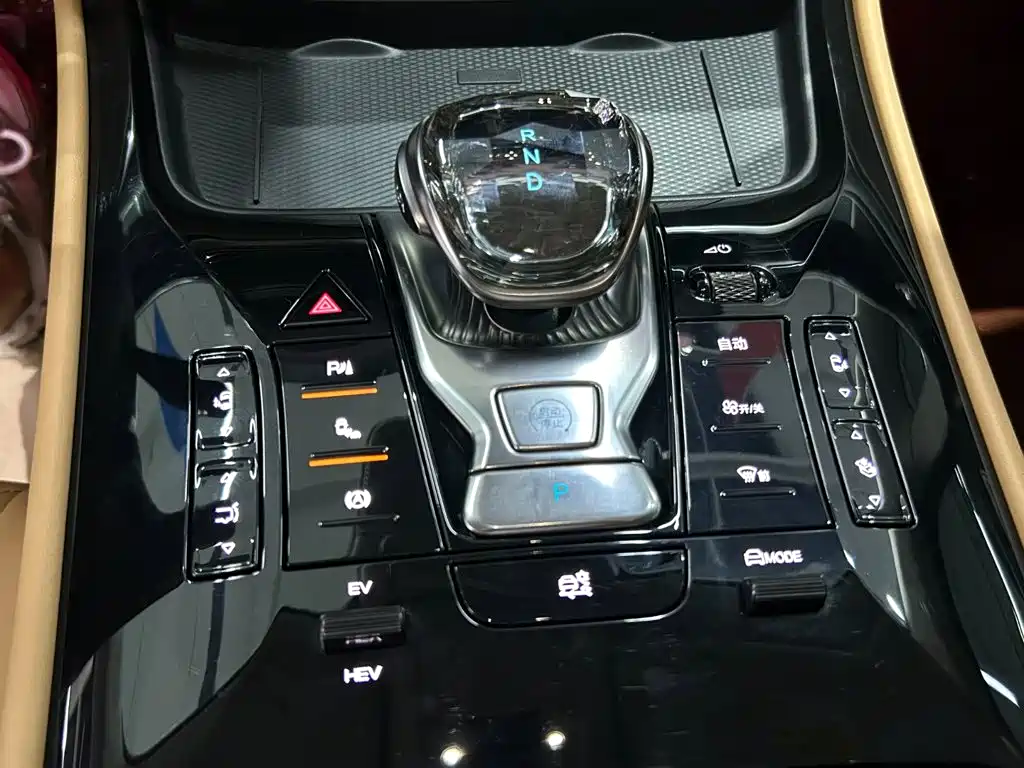 Denza Denza D9 — миниатюра 10