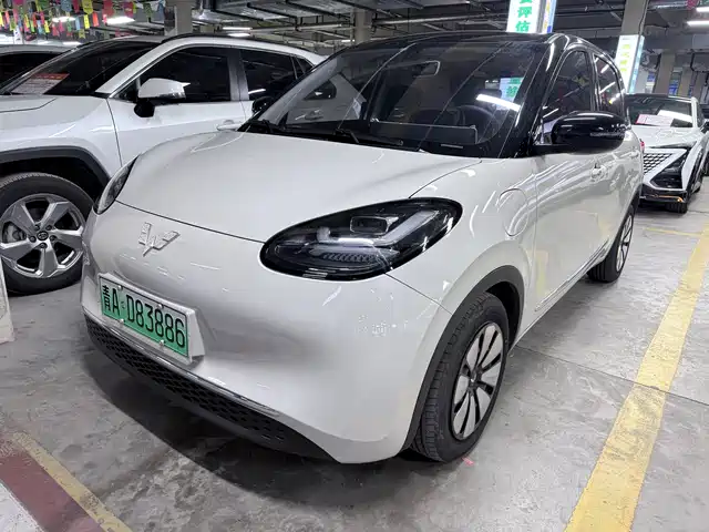 Wuling Bingo