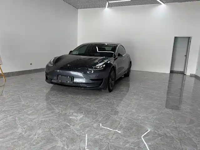 TESLA MODEL 3 2020