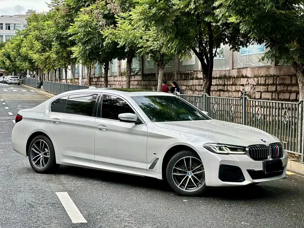 BMW 5 Series — миниатюра 3