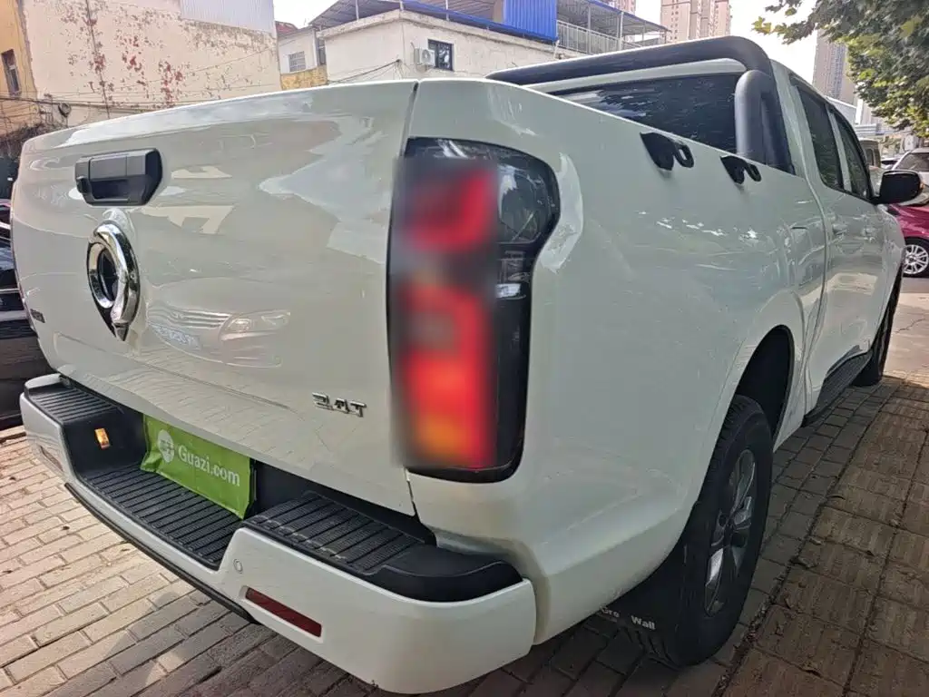Great Wall Pao — миниатюра 8