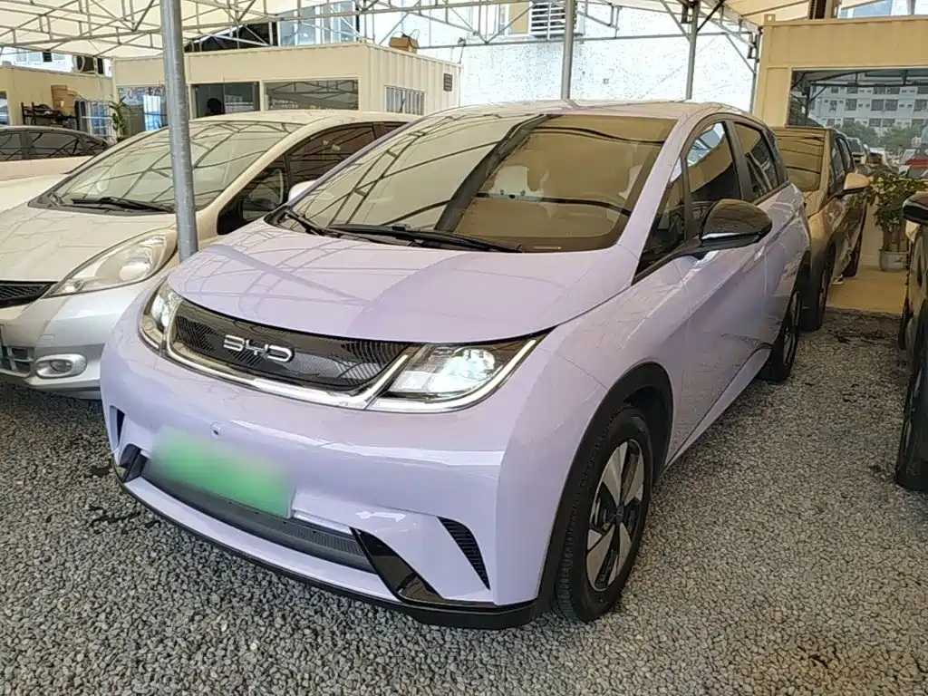 BYD Dolphin — миниатюра 2