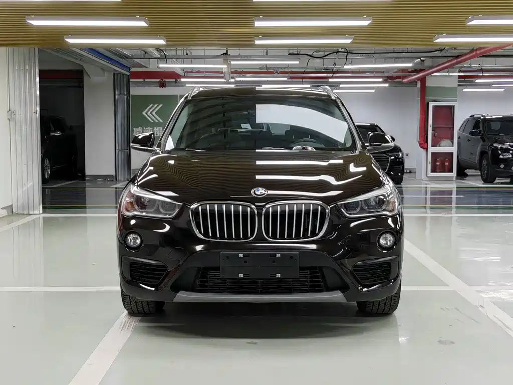 BMW X1 — миниатюра 2