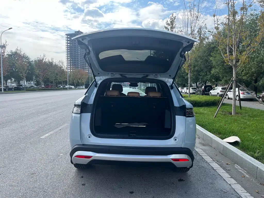 BYD L DM-i — миниатюра 19