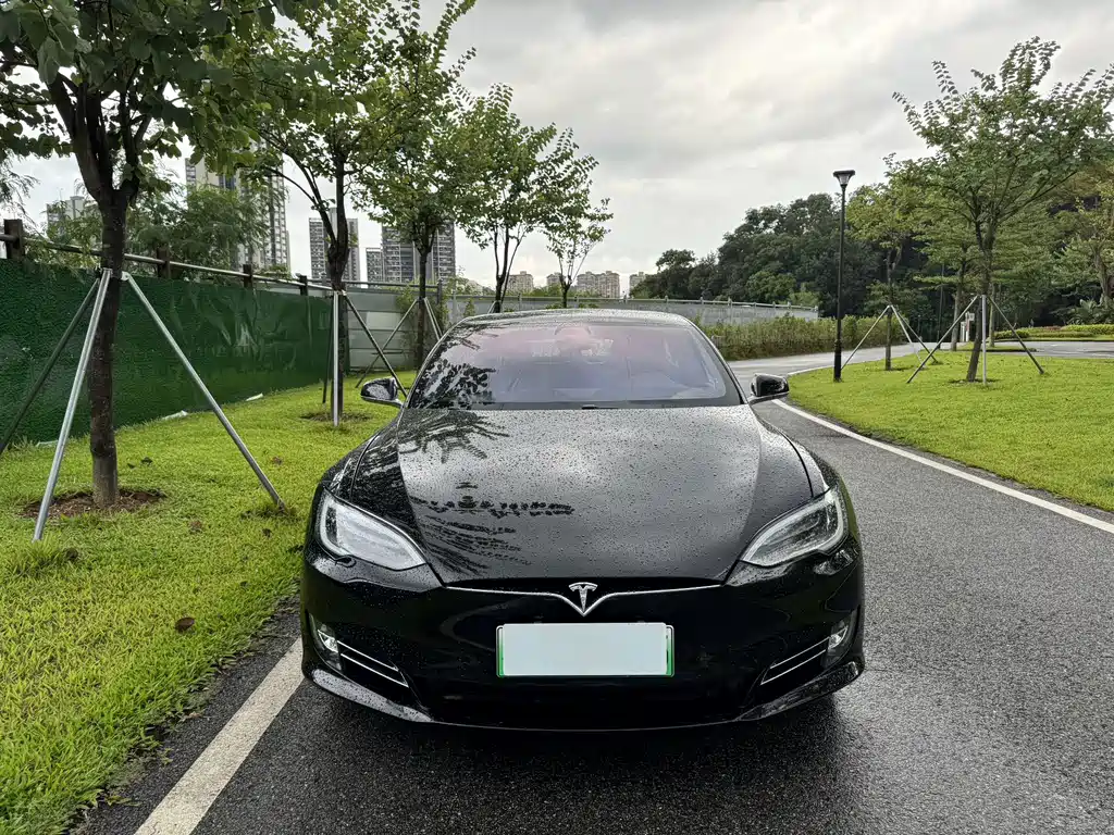 Tesla Model S — миниатюра 2