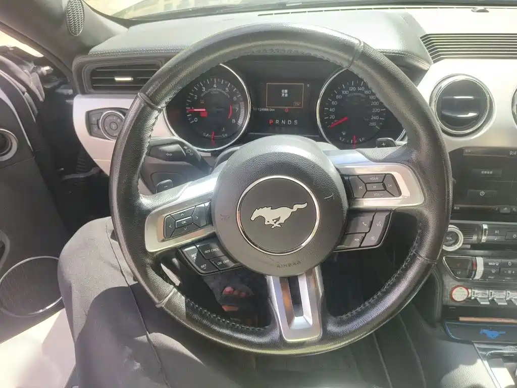 Ford Mustang — миниатюра 3