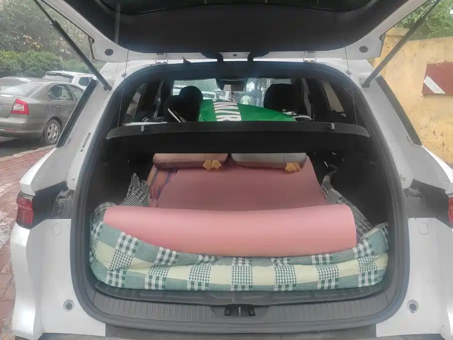 BYD Pro New Energy — миниатюра 4