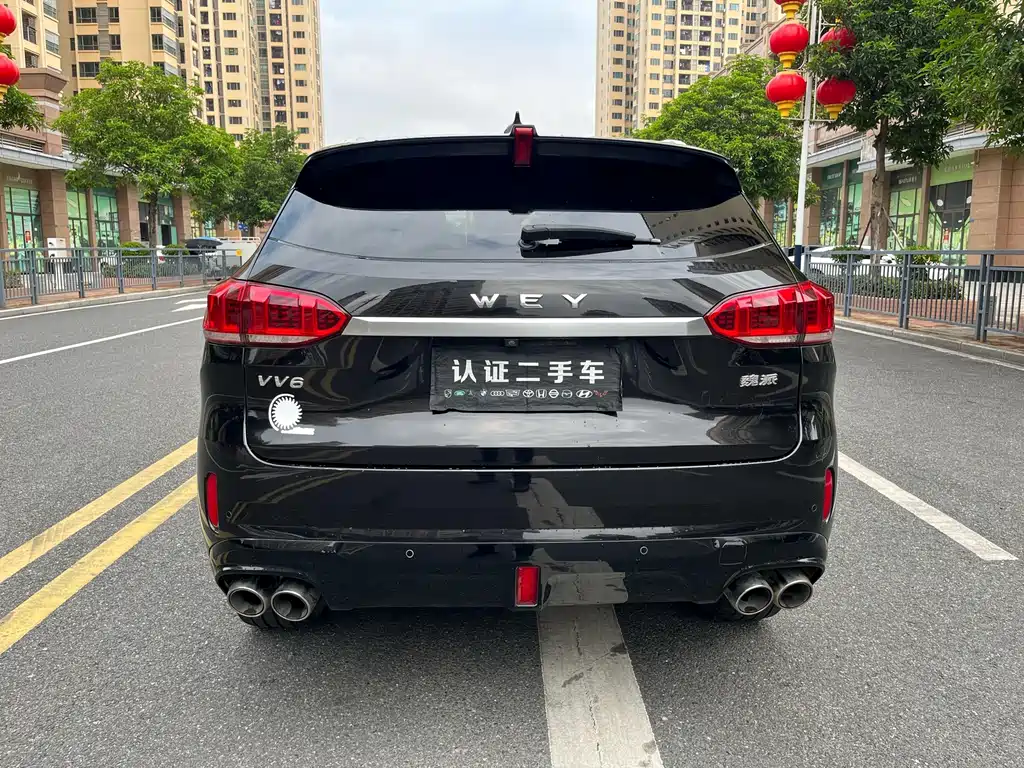 Wey Wey VV6 — миниатюра 6