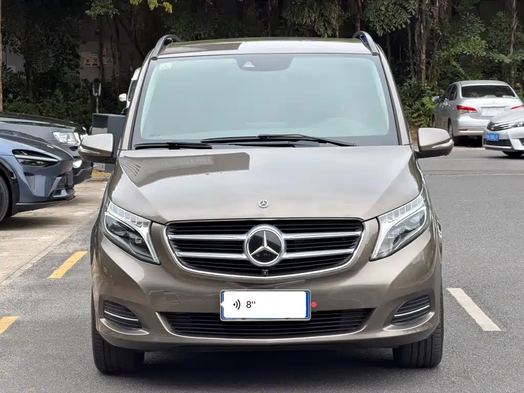 Mercedes-Benz V-Class V 2018 V 260 Luxury V