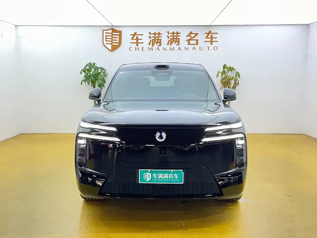 Denza Denza N8L — миниатюра 2