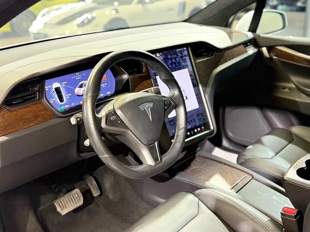 TESLA MODEL X