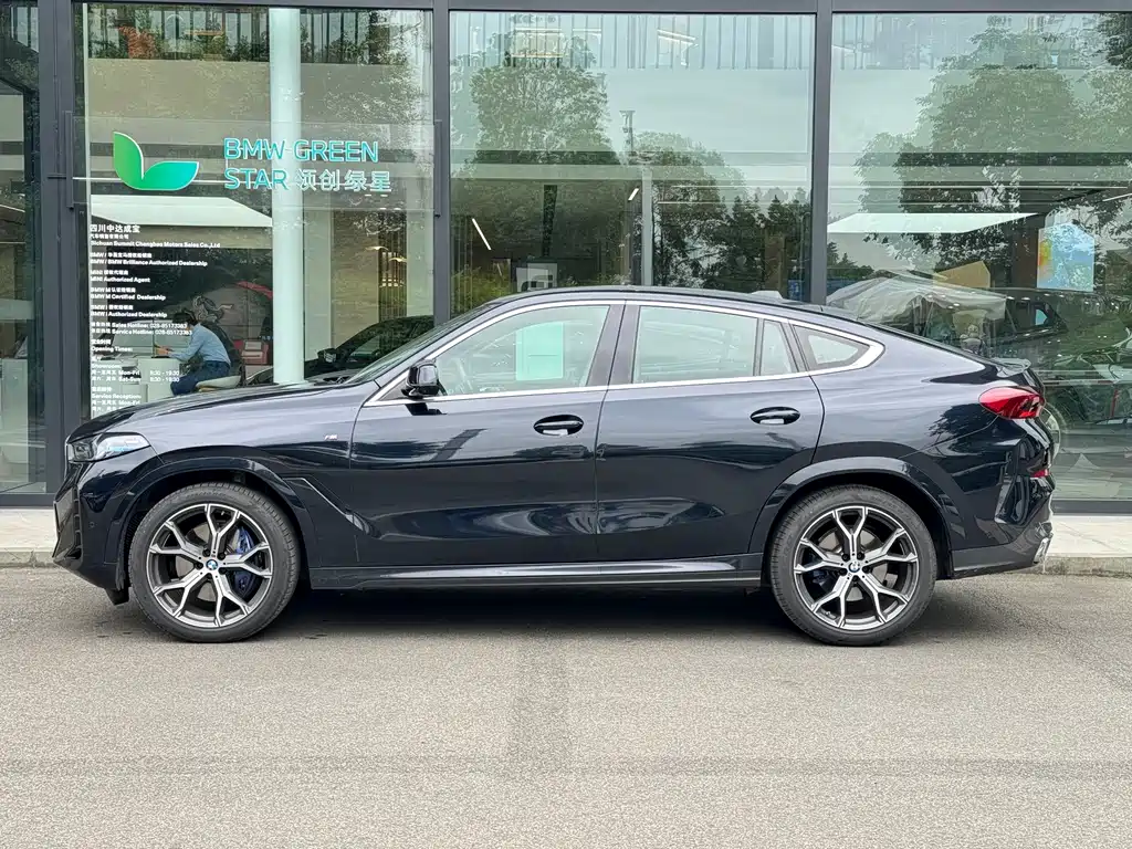 BMW X6 2023 xDrive40i Premium M Sport