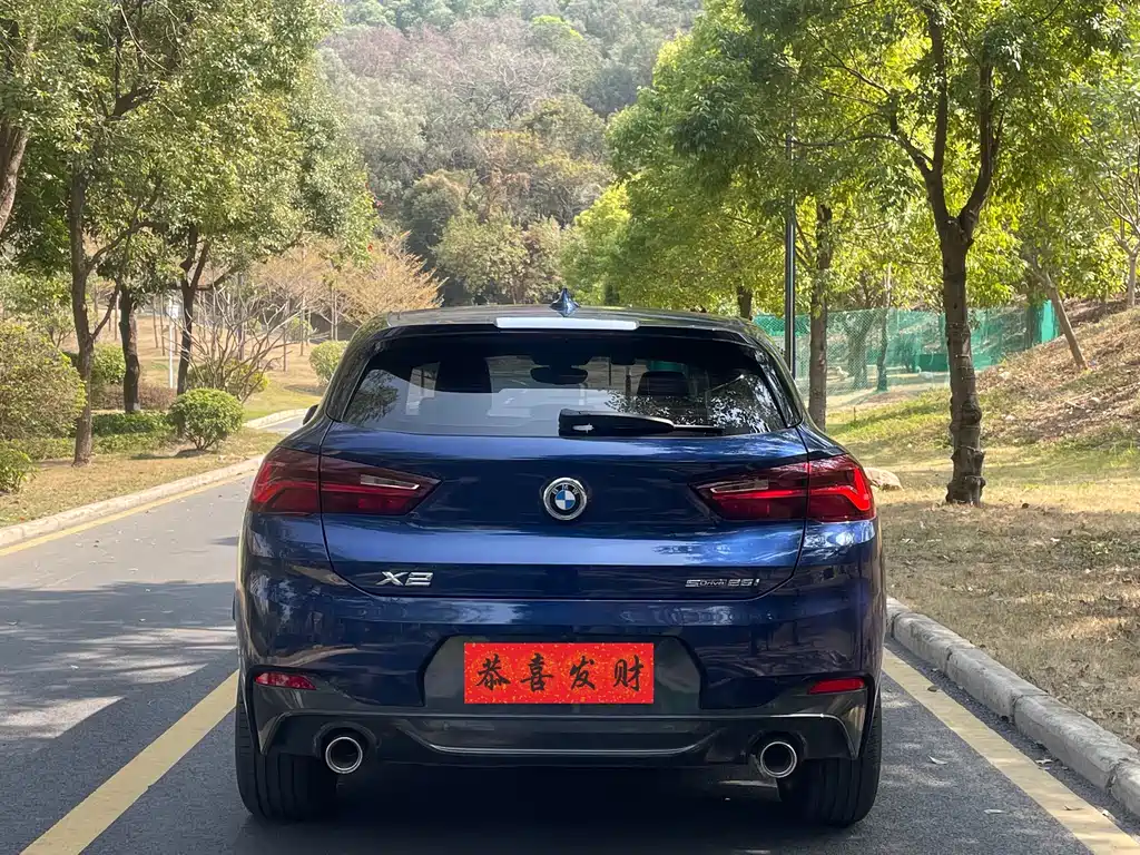 BMW X2