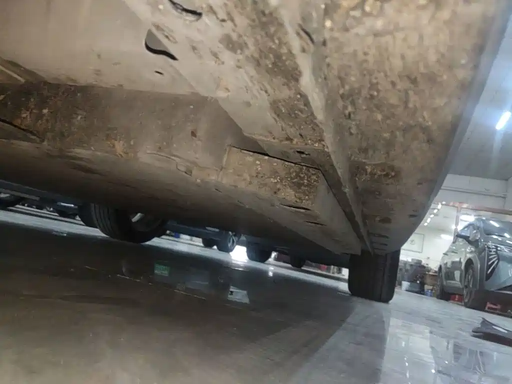 Ora Ora Good Cat — миниатюра 22