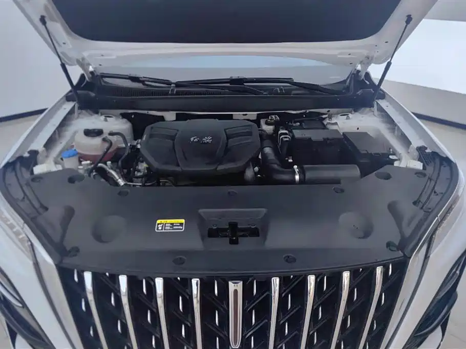 Hongqi HS5 2023 2.0T Pro