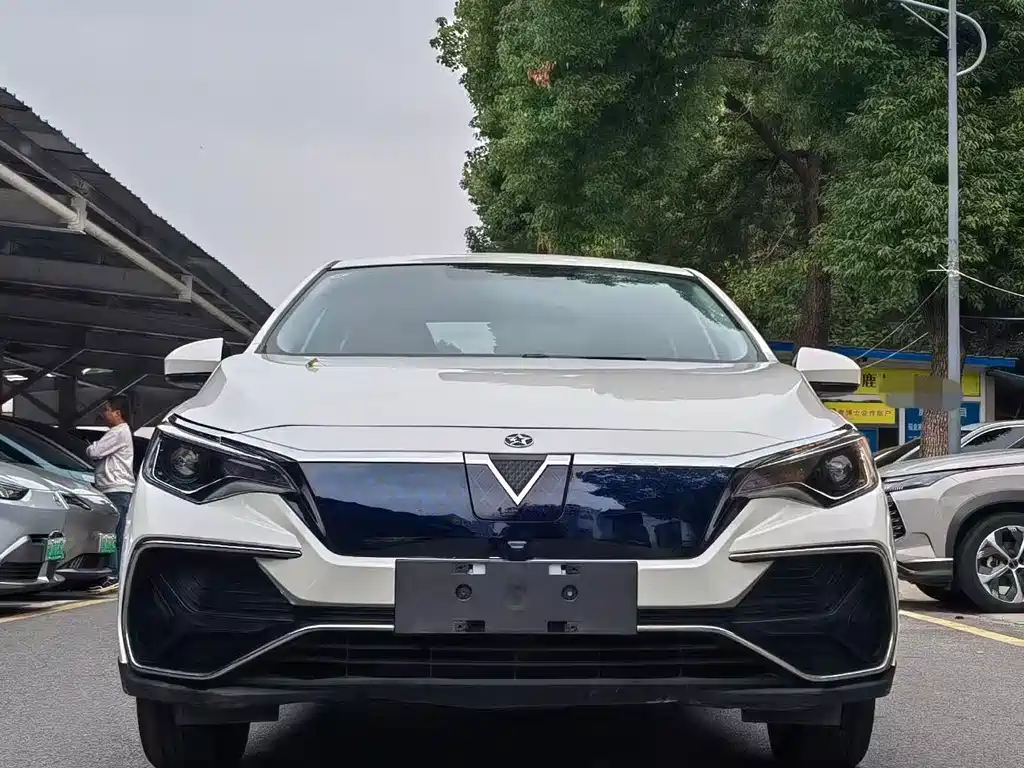 Venucia D60 EV — миниатюра 2