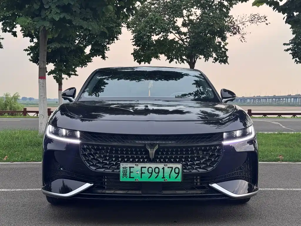 2024 Voyah Passion - zdjęcie 1 z 9