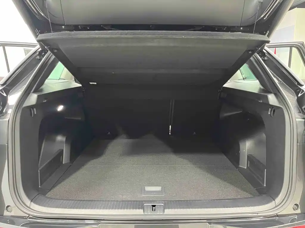 Volkswagen Tavendor — миниатюра 12