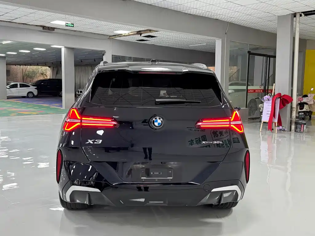 BMW X3 — миниатюра 8