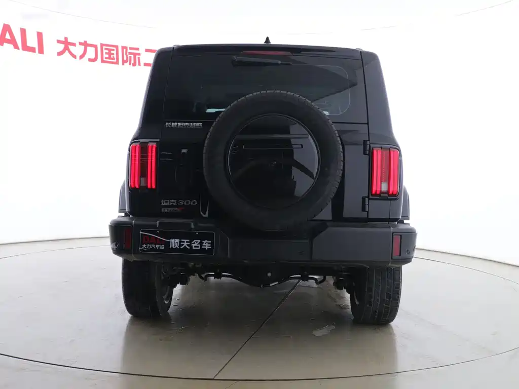 TANK TANK 300 NEW ENERGY