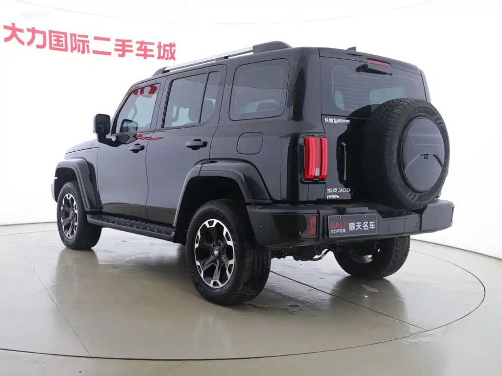 TANK TANK 300 NEW ENERGY