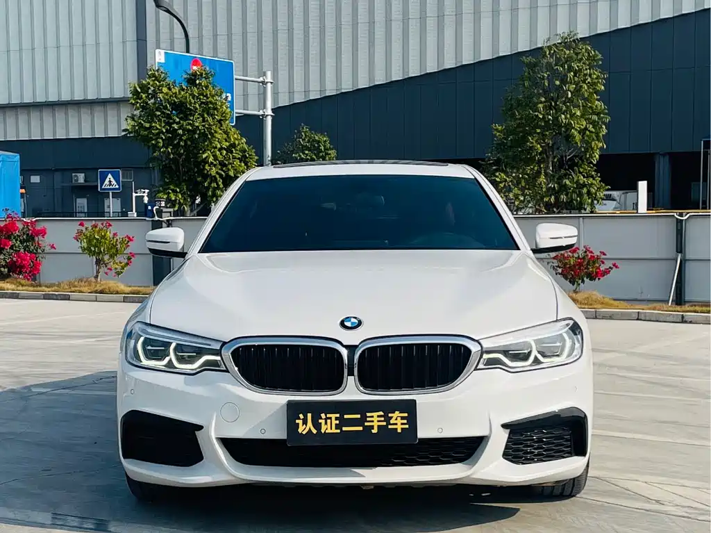 BMW 5 Series 5 2020 530Li Lead M Sport