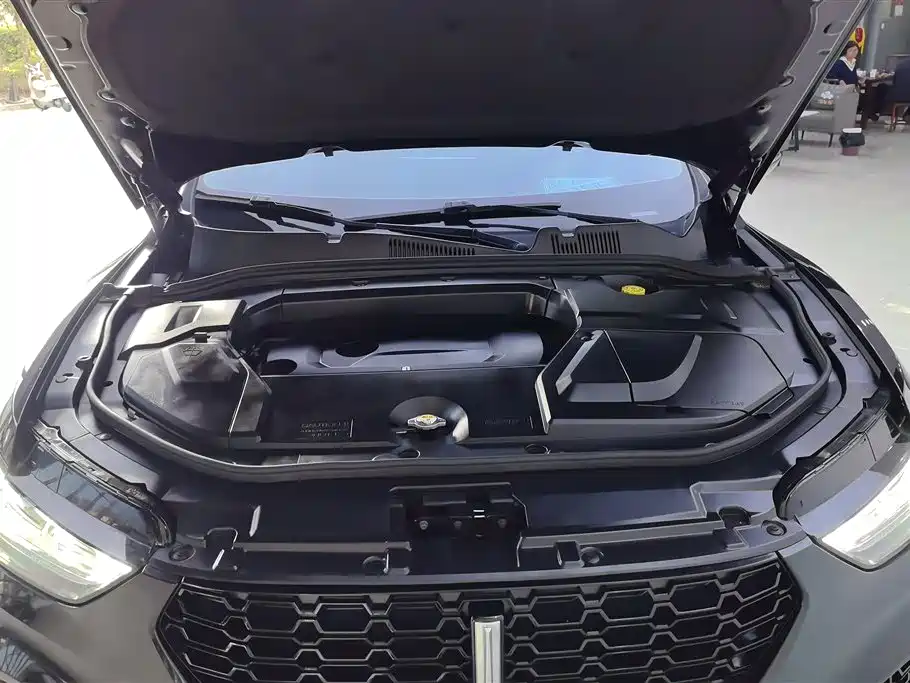 WEI PAI WEI BRAND VV5