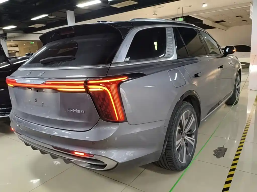 Hongqi Hongqi E-HS9 — миниатюра 7
