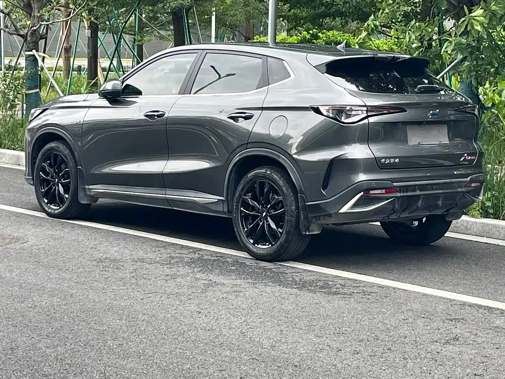 Oshan Oushang X5 PLUS — миниатюра 21