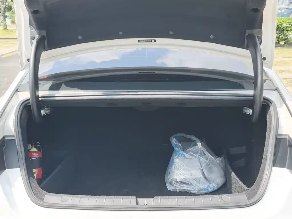 BYD Qin Pro NEV — миниатюра 11