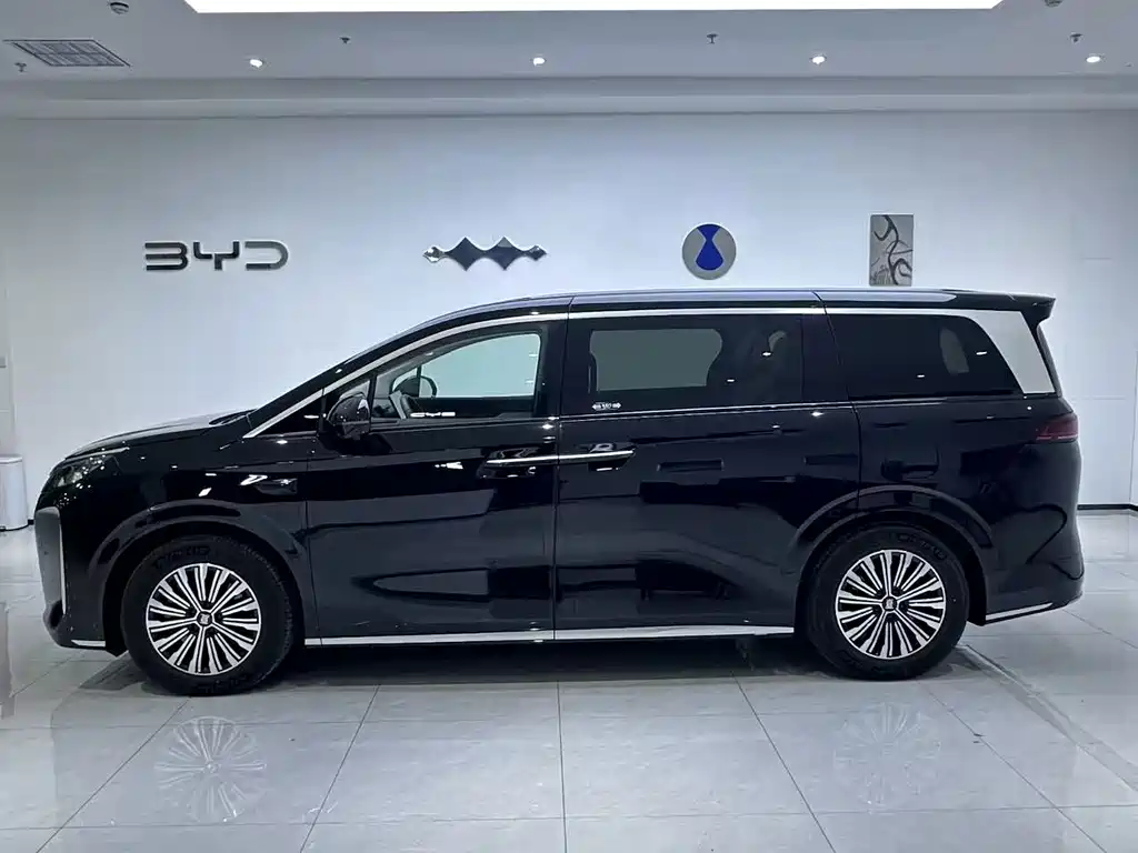 BYD Xia — миниатюра 2
