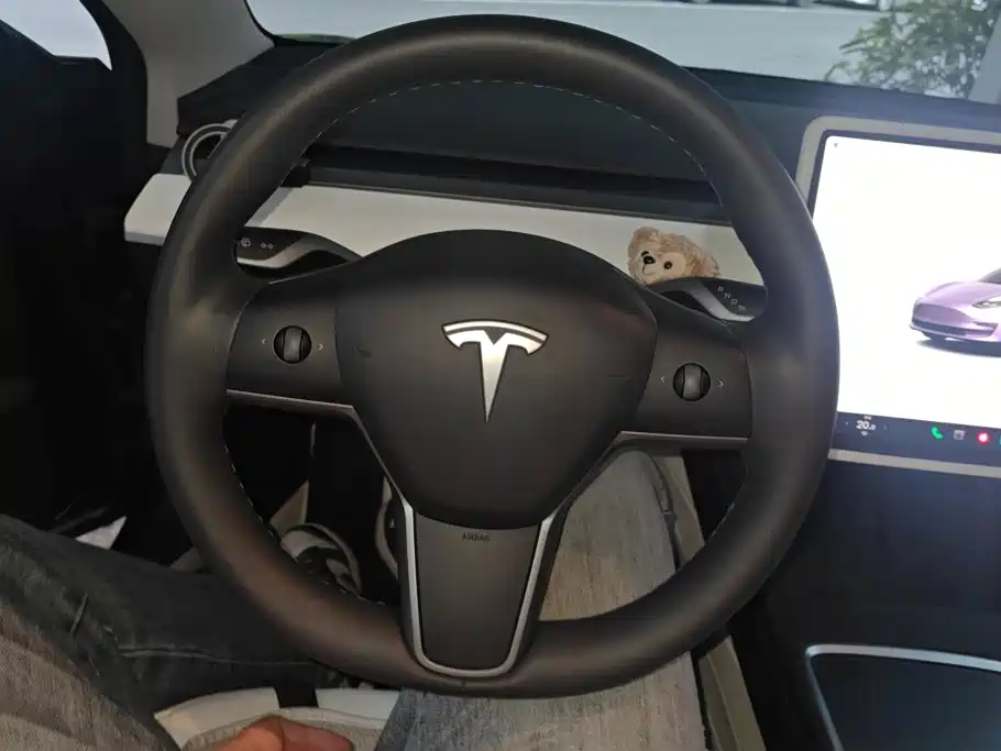 Tesla Model 3 — миниатюра 15