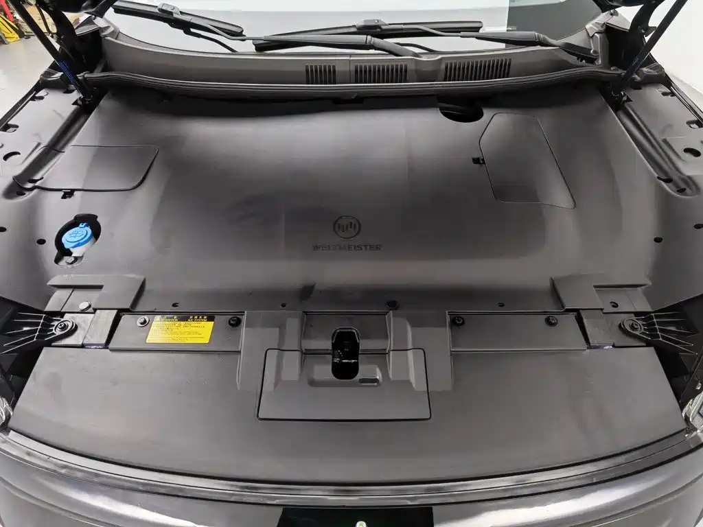 WM Motor EX5 — миниатюра 6