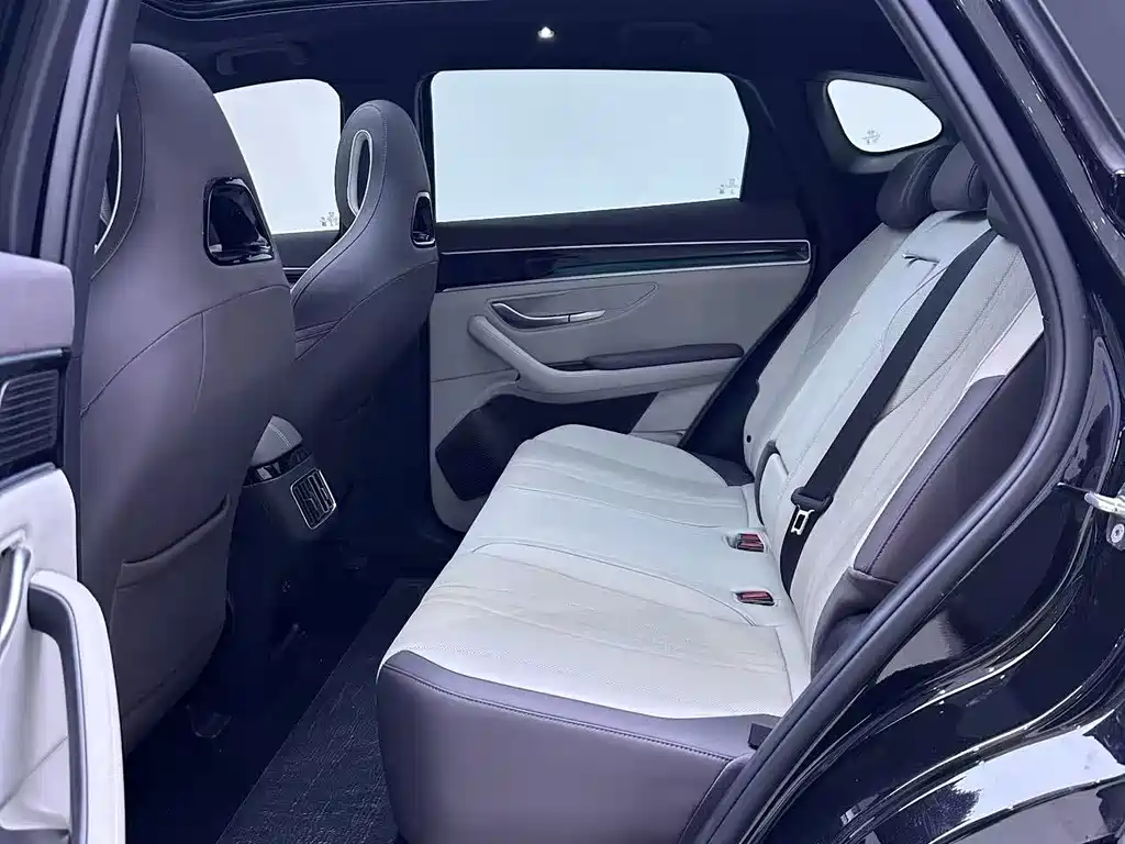 BYD PLUS New Energy — миниатюра 7