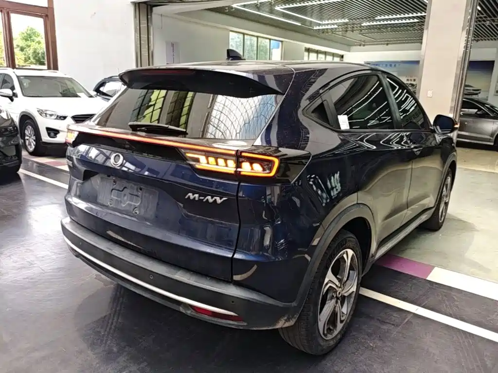 CIIMO M-NV — миниатюра 7