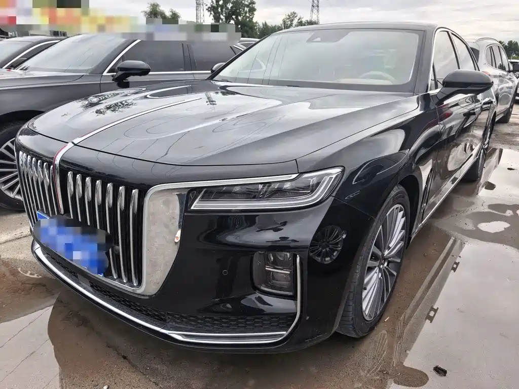 Hongqi Hongqi H9 2021