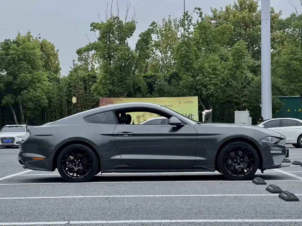 Ford Mustang — миниатюра 7