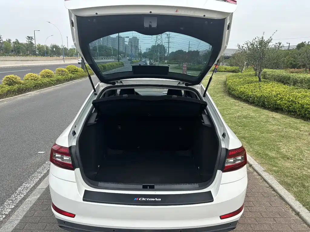 Skoda Octavia 2018 1.6L AT Comfort