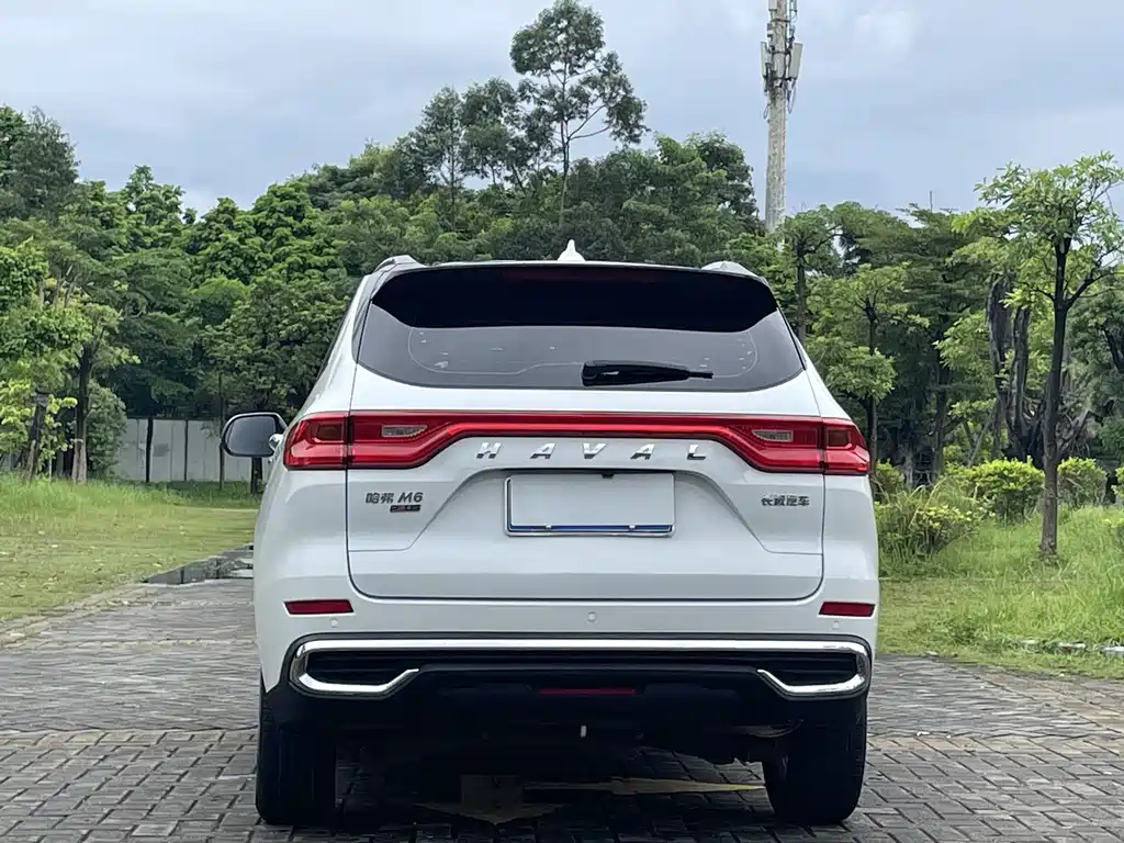 Haval M6 — миниатюра 9