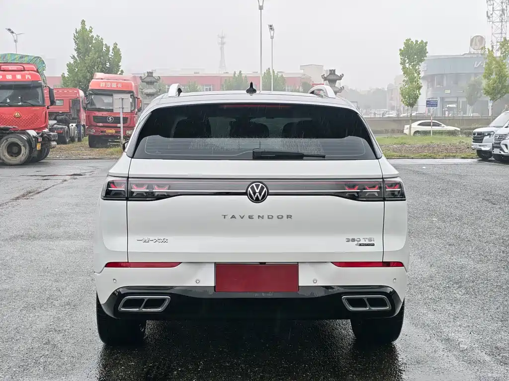 Volkswagen Tavendor — миниатюра 5