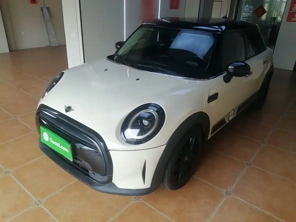 Mini Mini 2021