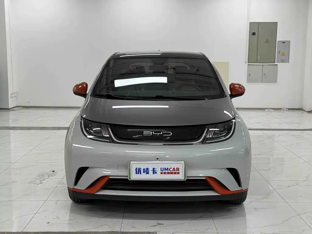 BYD Dolphin — миниатюра 2