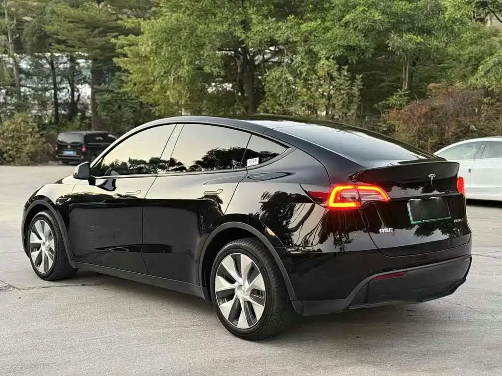 Tesla Model Y — миниатюра 9