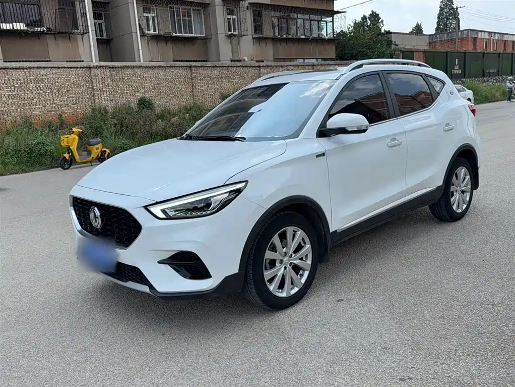 Mg ZS 2023