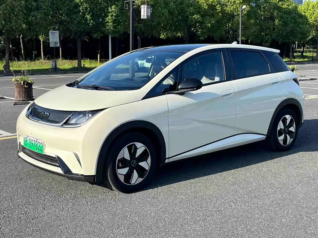 Byd Dolphin 2024
