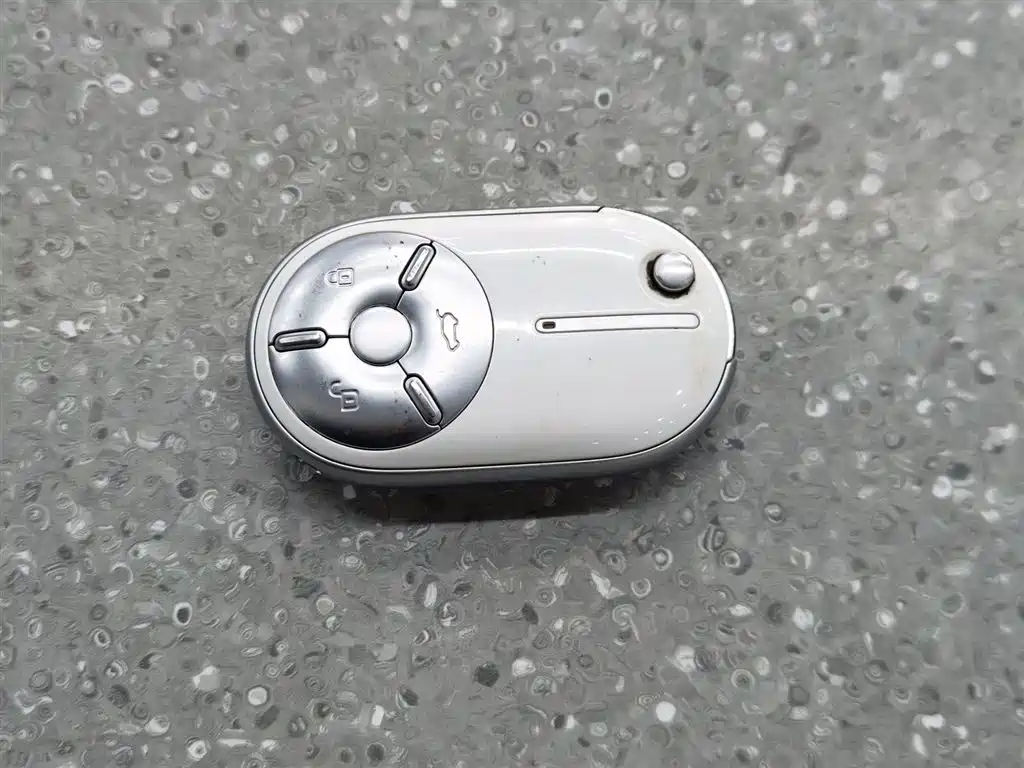 BESTUNE PENTIUM PONY