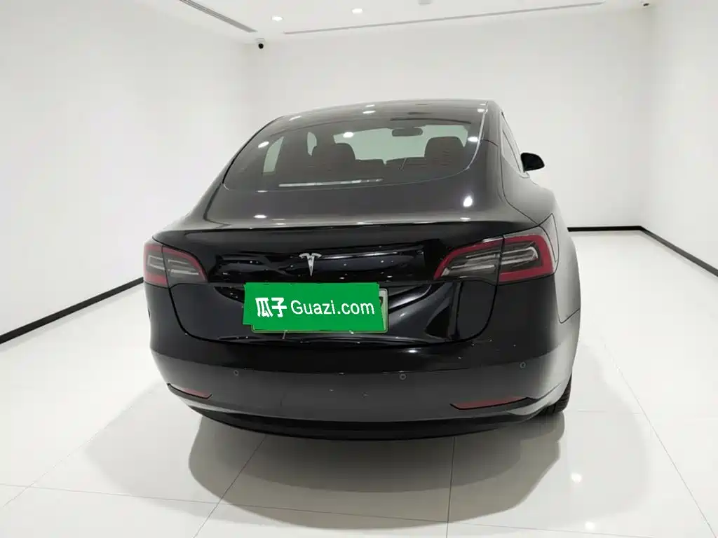 Tesla Model 3 — миниатюра 3