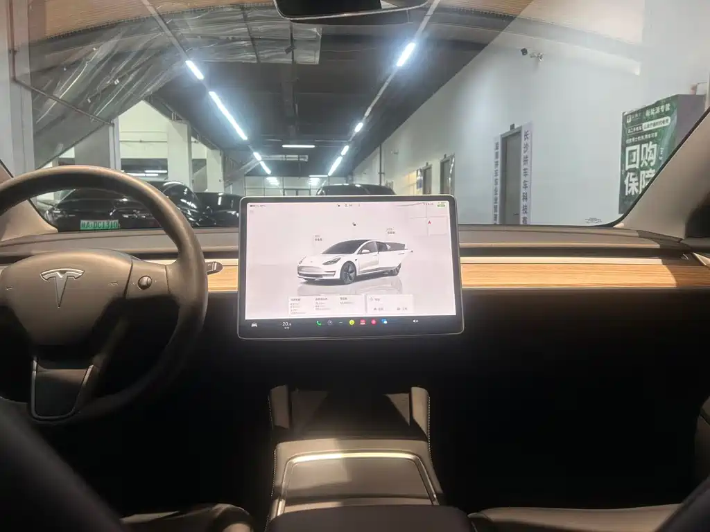 Tesla Model 3 — миниатюра 5